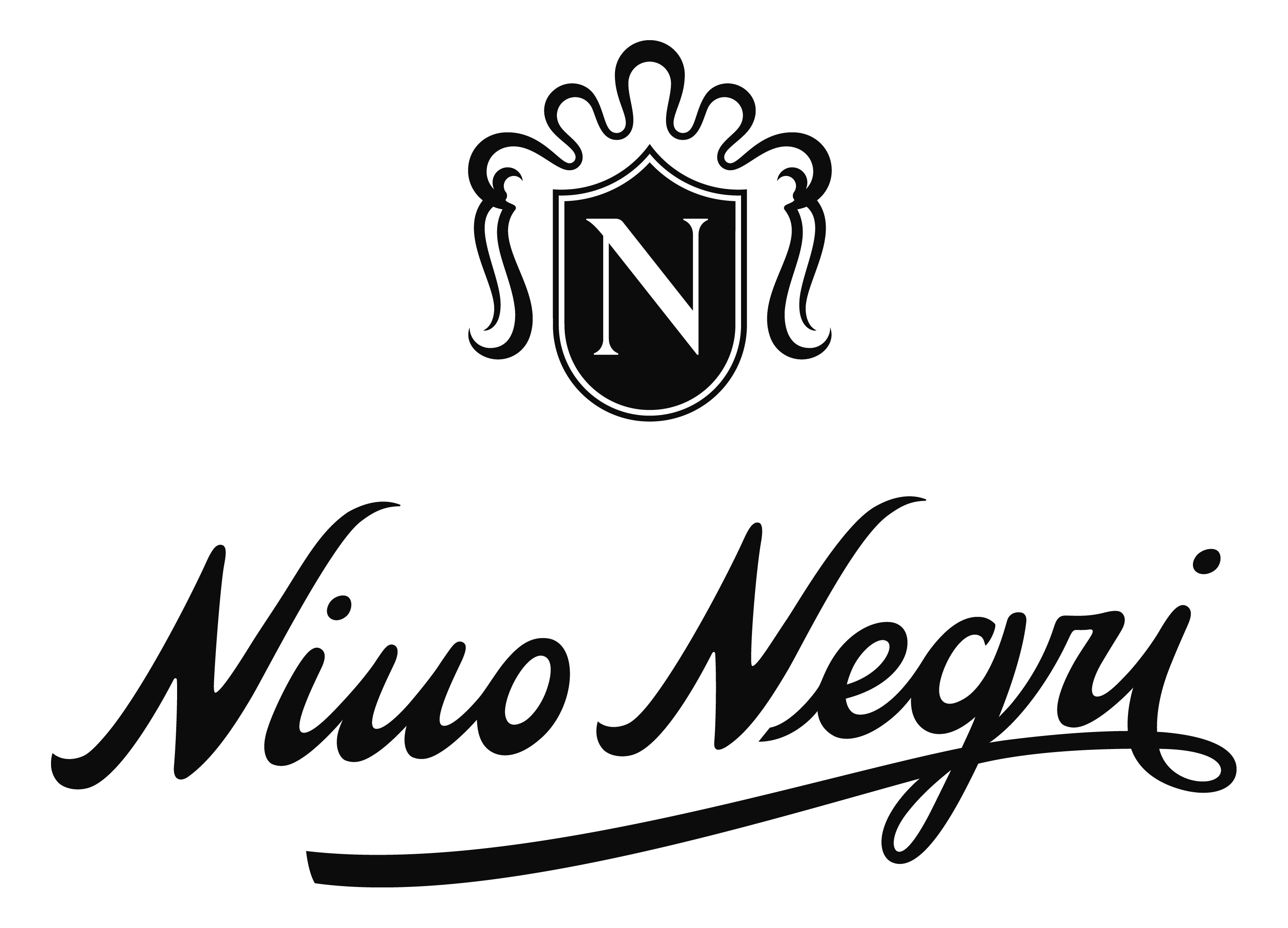 nino-negri nino-negri