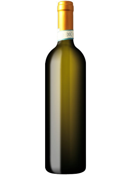 bottiglia