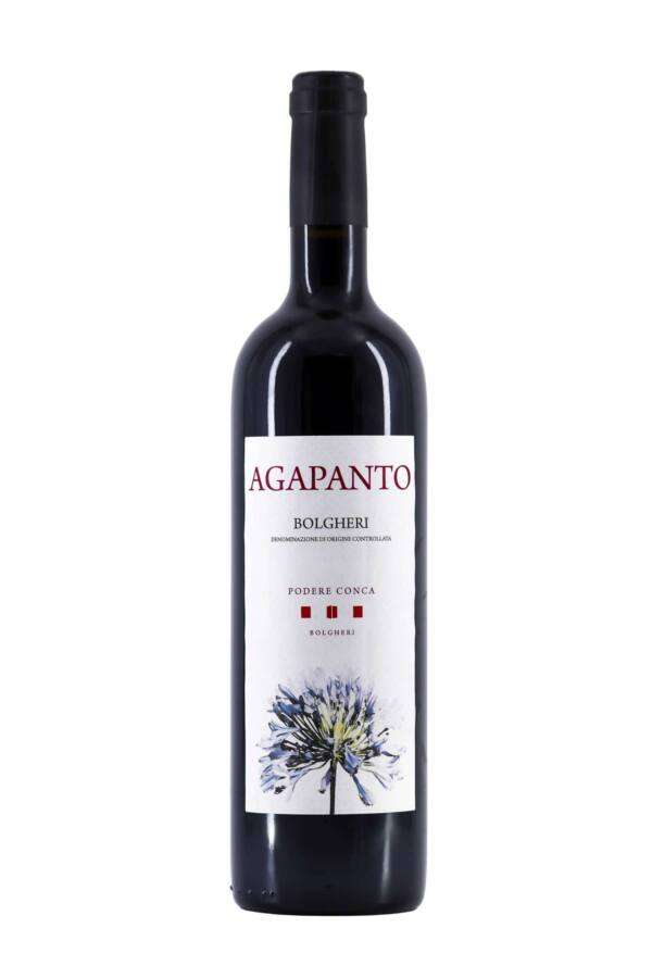 DSC_9780-Podere-Conca-Red-Agapanto