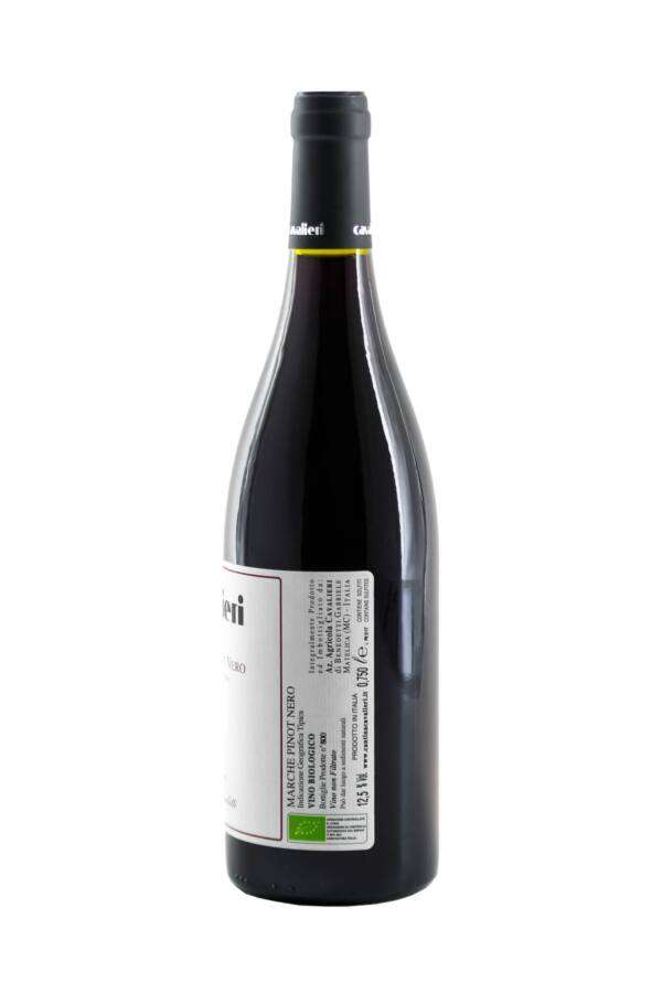 DSC_8968-Cavalieri-White-Marche-Pinot-Noir