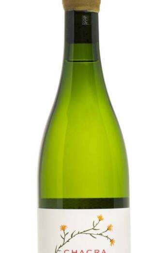 Chacra Chardonnay 2021