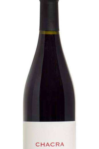 Pinot Noir Cincuenta y Cinco 55 2019