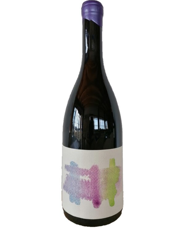 DSC_9671-I-Mandorli-Cabernet-Franc
