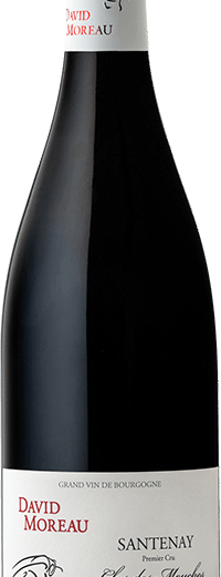 Santenay 1er Cru Clos de Mouches 2020