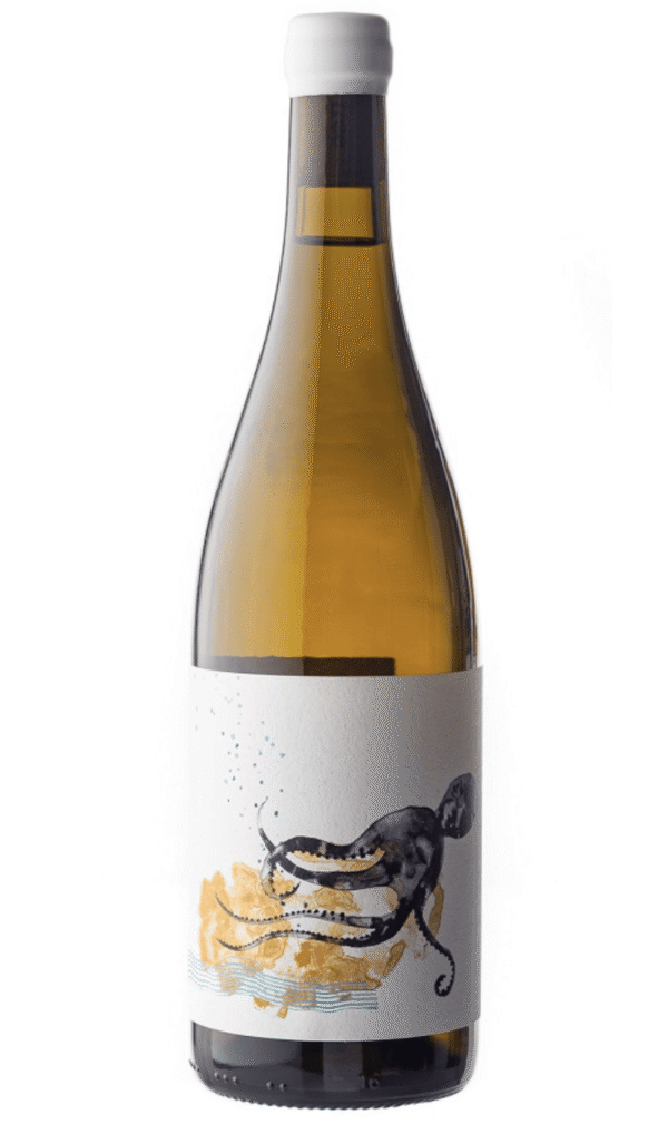 DSC_9382-Le-Formiche-Ansonica