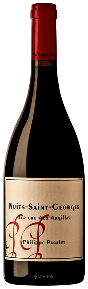 Nuits-Saint-Georges 1er Cru Aux Argillas 2021