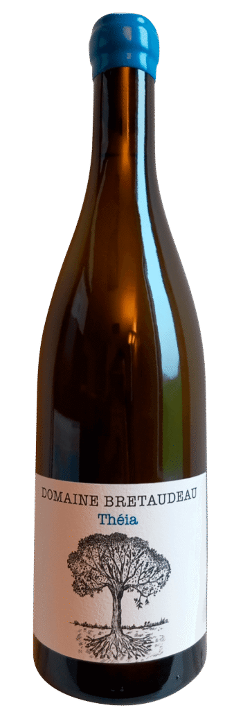 Muscadet Theia 2024